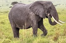Amboseli national park over night
