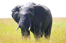 Amboseli national park over night