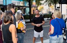 Guided St. Pete Sightseeing Tour in Deluxe Street Legal Golf Cart