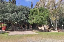 Sips of Crete: Flavors, Legends & Hidden Gems