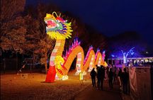 Holiday Lights Tour with Asian Lantern Festival Visit