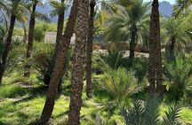 Private Full Day Hatta Visit Dam Heritage Village Lake(1-6 Pax)