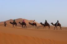 10D 9N Desert Tour & imperial cities From Casablanca to Marrakech