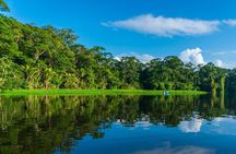 Tortuguero: Canoe tour + Night Jungle or Spawn Turtle 