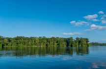 Tortuguero: Canoe tour + Night Jungle or Spawn Turtle 
