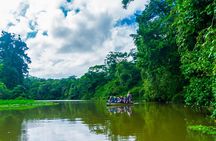 Tortuguero: Canoe tour + Night Jungle or Spawn Turtle 