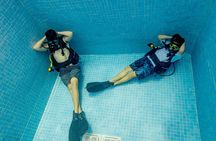 Discover Diving in the Reefs of Cozumel