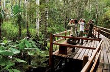 4-Day Tambopata National Reserve – Tambopata Peru Tours