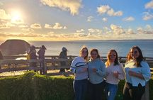Phillip Island Departure Penguin Parade Tour with Winery Feast 