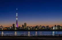 Full Day Private Charter Tokyo Tour