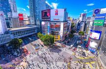 Full Day Private Charter Tokyo Tour