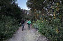 Glow Worm Tunnel Evening Guided Tour