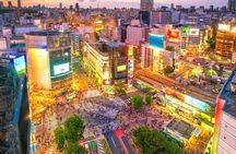 Full Day Private Charter Tokyo Tour