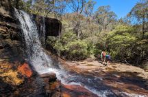 Wilderness, Waterfalls, Three Sisters BLUE MOUNTAINS PRIVATE TOUR