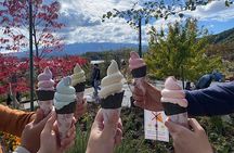 Private Mount Fuji and Hakone sightseeing Day trip with guide 