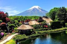 Private Mount Fuji and Hakone sightseeing Day trip with guide 