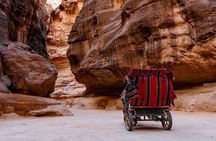 1 Night Private Jordan Sky Tour from Amman Hotel