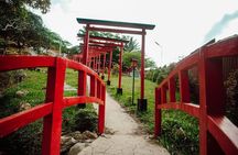 Cebu Highland Adventure with Dining Delights Tour