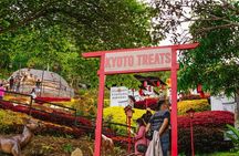 Cebu Highland Adventure with Dining Delights Tour