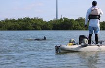 Kayak Tour Marco Island and Naples