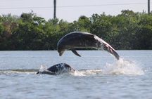 Kayak Tour Marco Island and Naples