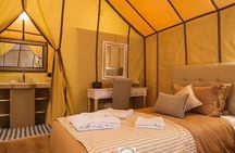 Luxury Tour : 3-Day from Fez to Marrakech via Merzouga desert