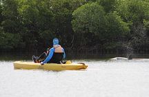 Kayak Tour Marco Island and Naples