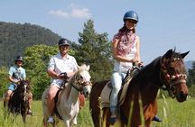 Private Horseback Riding in Alanya 