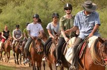 Private Horseback Riding in Alanya 