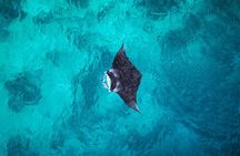 Nusa Penida Snorkeling with Manta Bay and Land Tour
