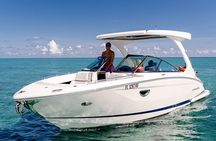 4 hour Private Boat charter to Stingray City, Snorkeling and More