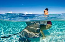 4 hour Private Boat charter to Stingray City, Snorkeling and More