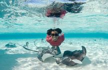 4 hour Private Boat charter to Stingray City, Snorkeling and More