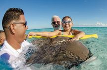 3 Hour Private Charter on Stingray City with Snorkeling
