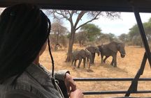 2 Days One Night Private Tour in Tarangire National Park 