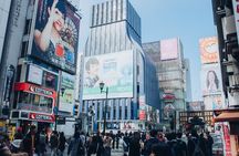 Private Cultural & Culinary Heritage Tour of Osaka
