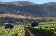  Wine Tours One