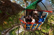2in1: Los Haitises National Park + Yanigua Waterfall-SPA