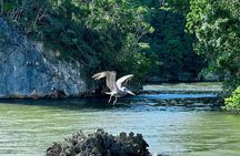 2in1: Los Haitises National Park + Yanigua Waterfall-SPA
