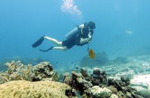 Diving in Koh Tao