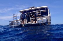 Diving in Koh Tao