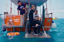3-Hours Shared Tour to Accessible Boat en Canary Island