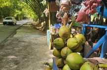 Private Full Day Holland Bamboo and Rum Experience in Jamaica