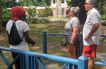 Private Full Day Holland Bamboo and Rum Experience in Jamaica