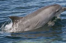 Punta Gorda/Boca Grande Beach Day Private 5hr Charter