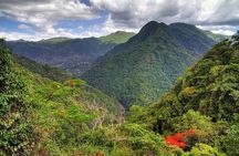 UTV and Can-Am Sightseeing Tours in Puerto Rico
