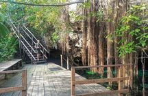 Exotik half a day tour: Cenote Cave and Swimming with Sea Turtles