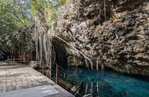 Exotik half a day tour: Cenote Cave and Swimming with Sea Turtles