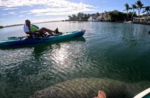  Lido Key Pedal Kayak Tour in Sarasota