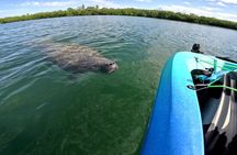  Lido Key Pedal Kayak Tour in Sarasota